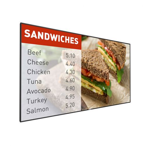 Monitor profesional Philips P-Line - 107 Cm - 42BDL5055P/00